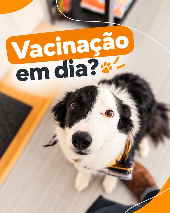 Vacinação em dia? — VallisVet