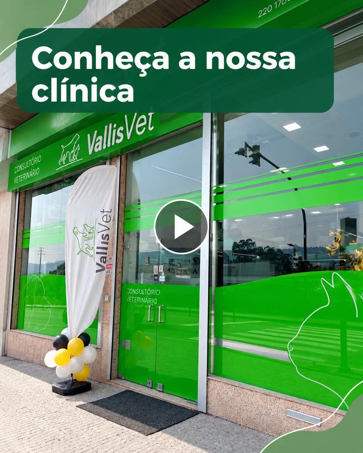 A VallisVet por dentro