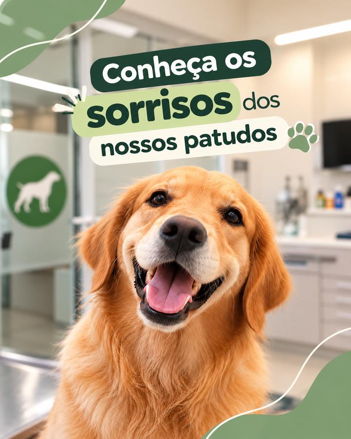Equipa e instalações da VallisVet